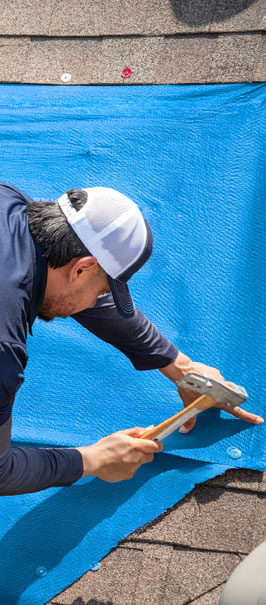 blue-tarp2