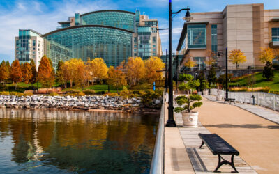 PLRB 2026: Essential Insights for Claims Professionals