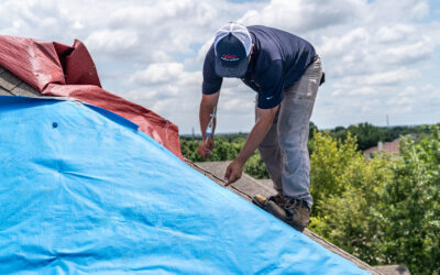 Emergency Tarp Services: A Must-Know for PLRB 2026