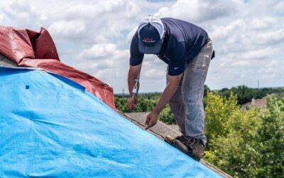 Professional Emergency Tarp Services: PLRB 2026 Insights