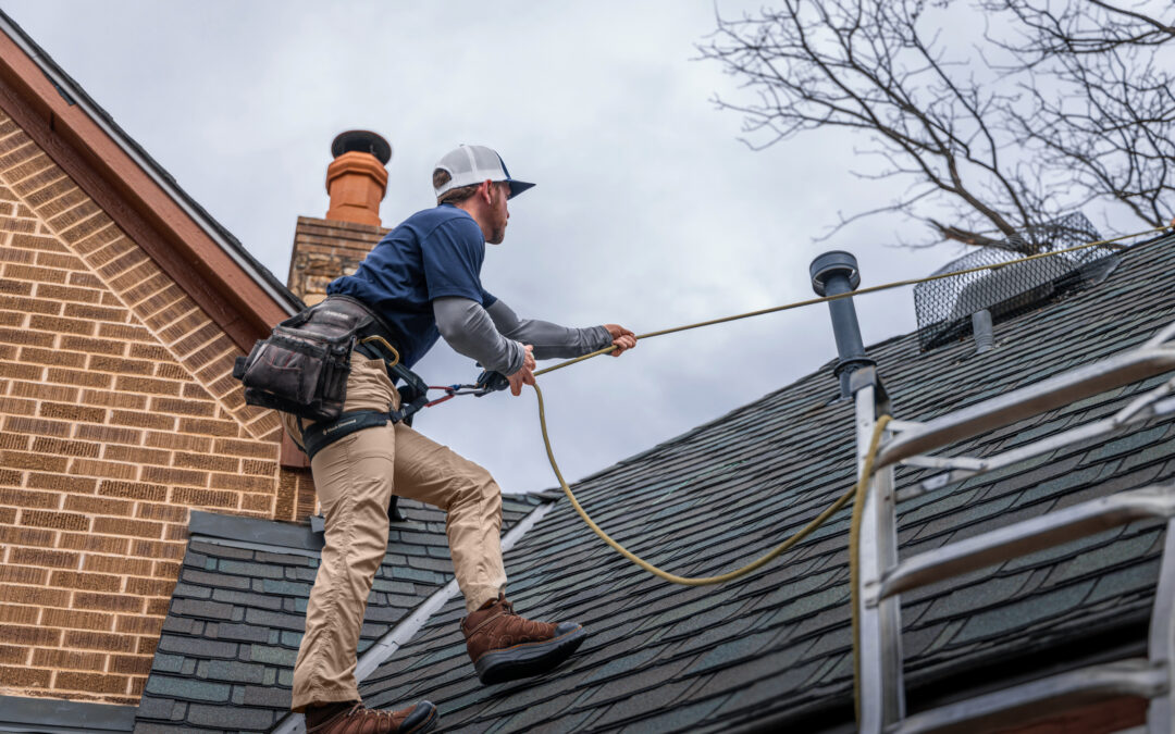 Direct Inspect vs. Ladder Assist: Which Solution Wins?