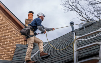 Direct Inspect vs. Ladder Assist: Which Solution Wins?